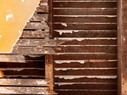 Asbestos in the Workplace: How to Ensure a Safe Environment