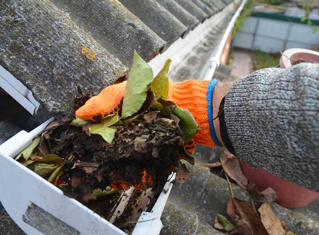 Local Gutter Cleaning & Repairs