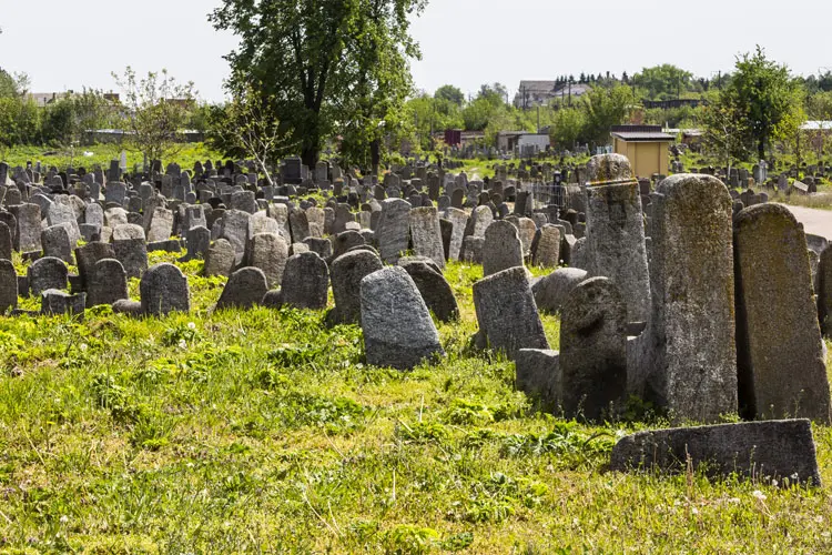 What is an Eco-Friendly Burial?