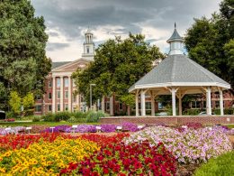 Colorful flower field, Fort Collins, Colorado