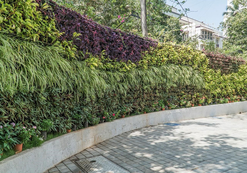 Vertical Gardens and Green Walls