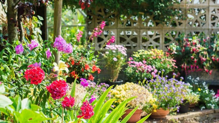 The Joy of Scented Flowers: Transform Your Garden into a Fragrant Paradise