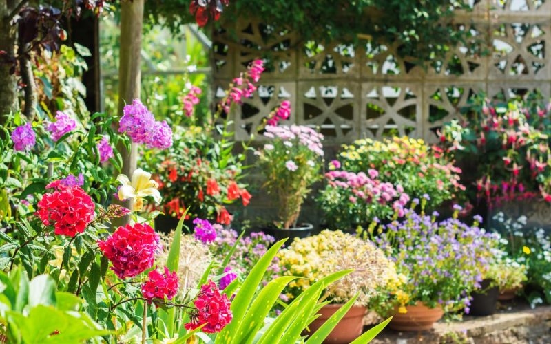 The Joy of Scented Flowers: Transform Your Garden into a Fragrant Paradise