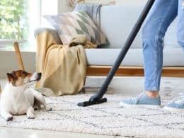 How to Remove Pet Hair from Furniture and Carpets