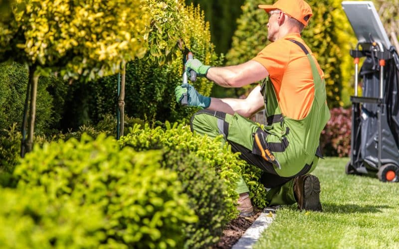 8 Common Landscaping Challenges and How to Address Them