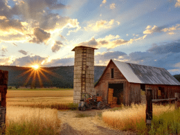 7 Professional Tips to Keep Termites Out of Your Timber Shed